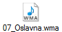07_Oslavna.wma